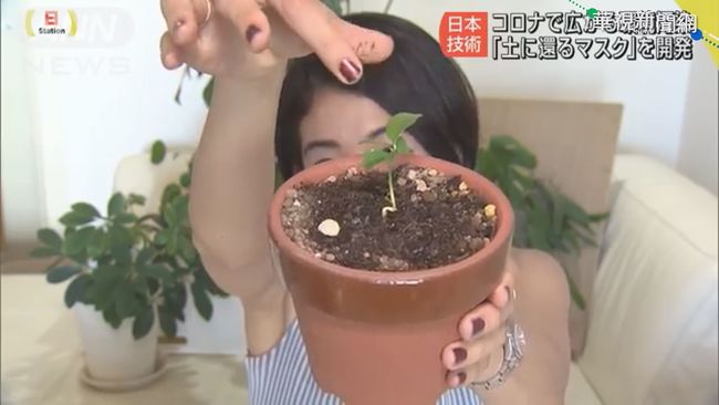 日研發和紙纖維 放盆栽可自動分解 | 華視新聞
