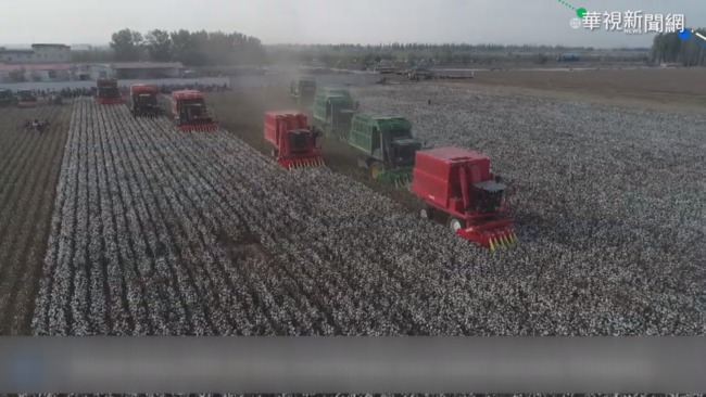 打擊強迫勞動 美禁新疆棉花等4產品 | 華視新聞
