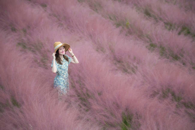 台灣首見韓國同款秘境 夢幻「粉芒園」即將開放 | 華視新聞