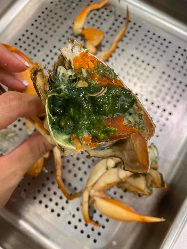 螃蟹剖開驚見綠蟹膏！家人吃了狂拉...營養師揭真相 | 華視新聞