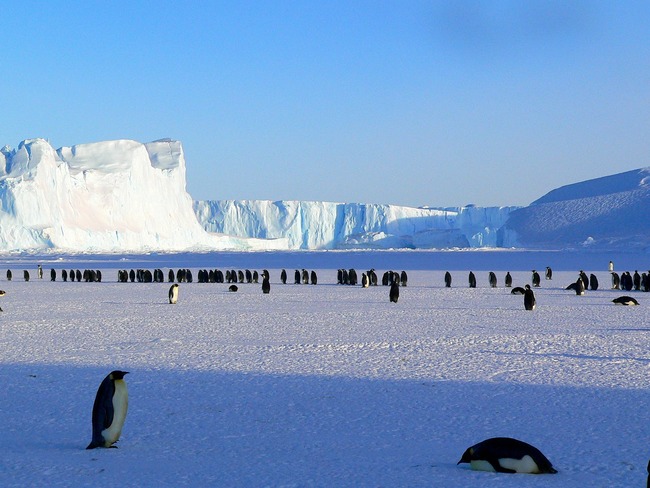 南極洲3個月地震逾3萬次 9月每天破千次 | 華視新聞