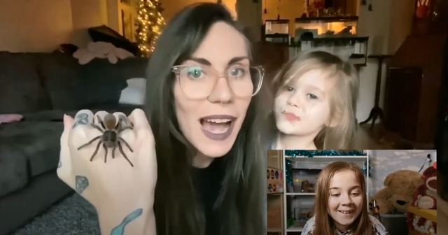 臥室驚見蜘蛛.蛇.蠍子！全都是她的寵物 | 粉絲拍影片祝福霍莉 翻攝自Youtube /  Princess Sophie Pink