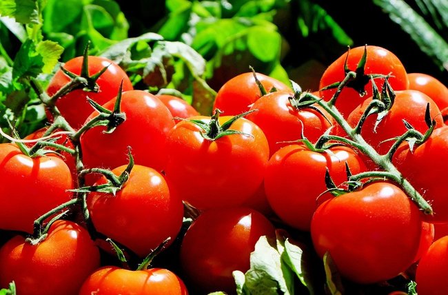大小番茄該怎麼選？ 營養師曝「高CP值吃法」 | 華視新聞