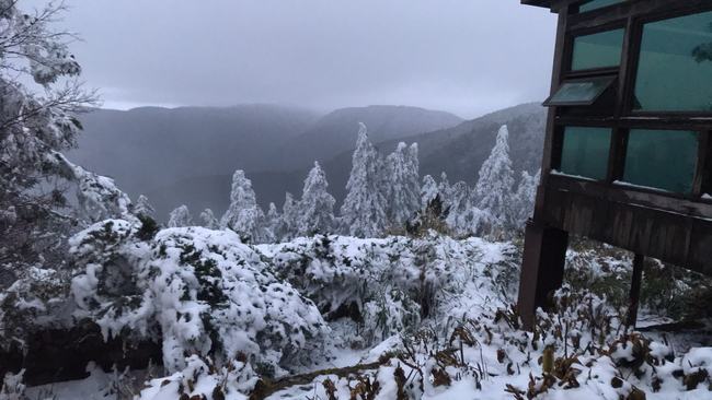 太平山有望再降雪！今明中午12點後不開放遊客入園 | 華視新聞