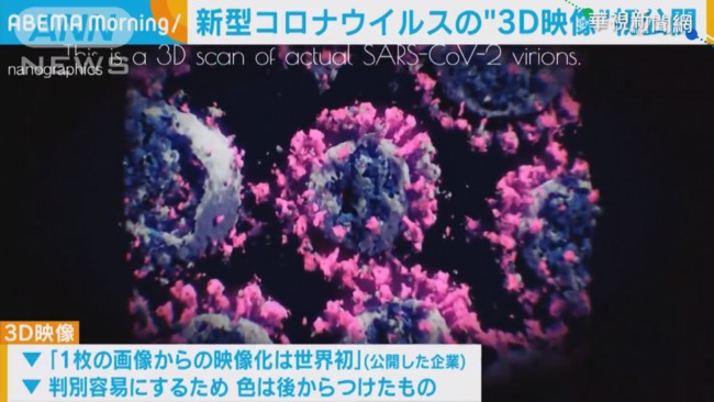 世界首見! 奧地利繪製新冠病毒3D模型 | 華視新聞