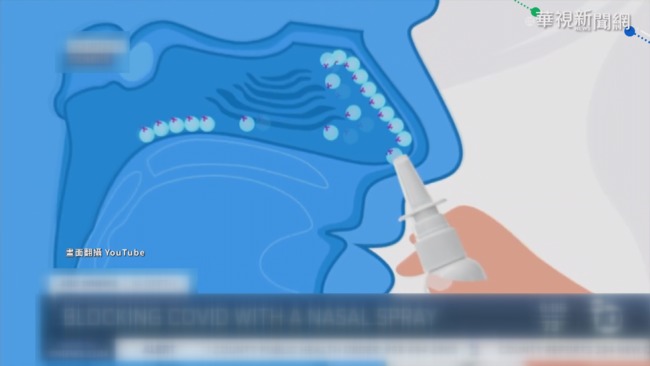 英研究:鼻噴劑可包覆病毒預防新冠 | 華視新聞