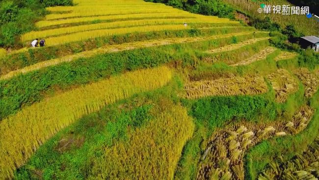 北迴歸線穿越 緬甸天然資源豐富! | 華視新聞