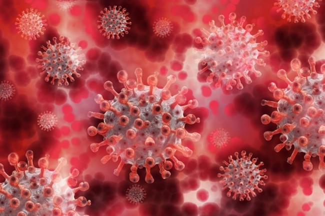 美出現COVID-19病毒株合體 科學家憂傳染、抗藥性增強 | 華視新聞