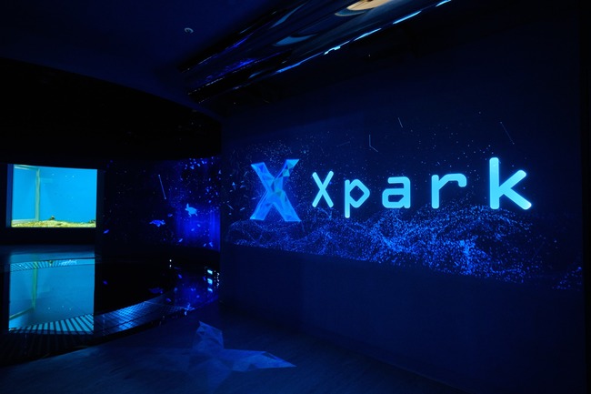 Xpark遭踢爆「動物受傷」未改進 業者發千字聲明回應 | 華視新聞