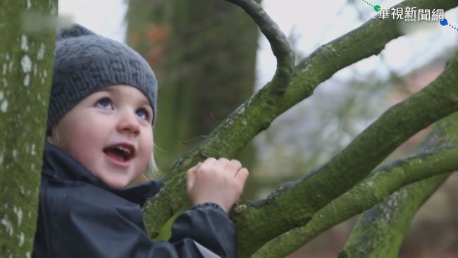 丹麥公托制度完整 森林幼兒園受歡迎 | 華視新聞