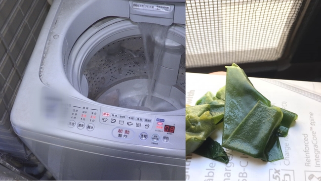 洗衣機水管竟清出「海帶」！過來人點出關鍵在「太陽」 | 華視新聞