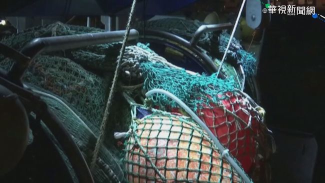 法漁民燒雜物占港口 抗議英遲發執照 | 華視新聞