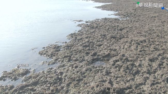 地球公民肯定三接外推：全力阻止核四藉藻礁議題復辟 | 華視新聞