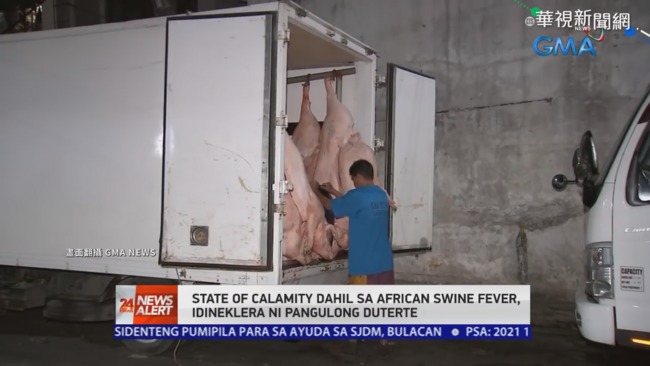 非洲豬瘟止不住 菲律賓進入災難狀態 | 華視新聞