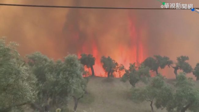 希臘森林大火 出動270警消.16軍機救火 | 華視新聞