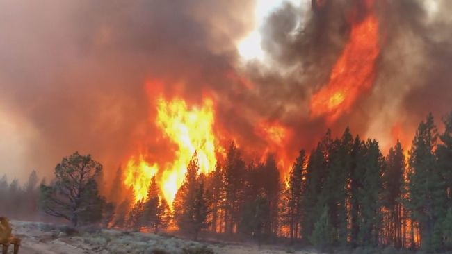 全美80場森林野火狂燒 2千居民急撤離 | 華視新聞