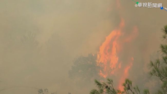 人為縱火? 土耳其森林火災波及17省 | 華視新聞