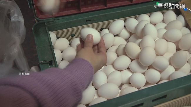 量販業者推動動物福利 2025年起只販售「非籠飼蛋」 | 華視新聞