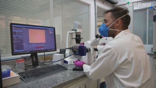 巴西研究矛頭蝮毒液 可抑制新冠病毒 | 華視新聞