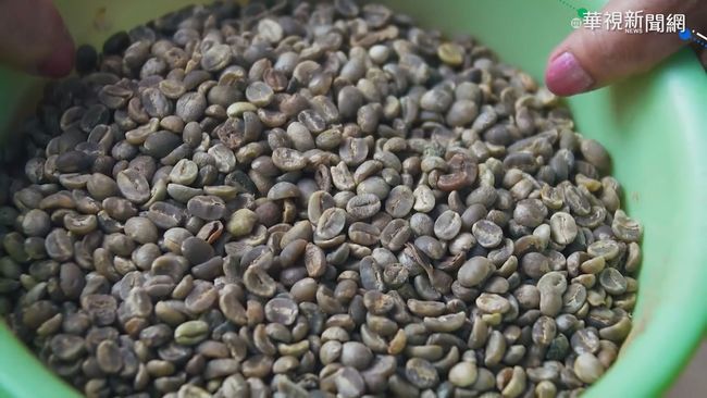 越南疫情失守 國際咖啡豆供應鏈恐斷 | 華視新聞