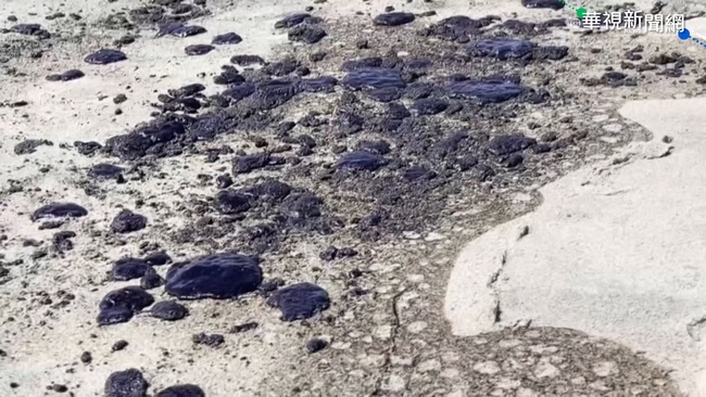 南加州外海3千桶原油洩漏 嚴重影響生態 | 華視新聞