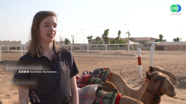 杜拜騎駱駝大賽 女騎師成"嬌"點 | 華視新聞