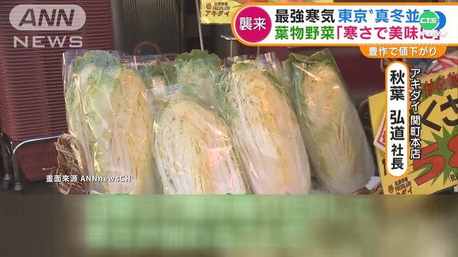 日本氣溫降白菜口感更香甜 價跌民眾搶 | 華視新聞