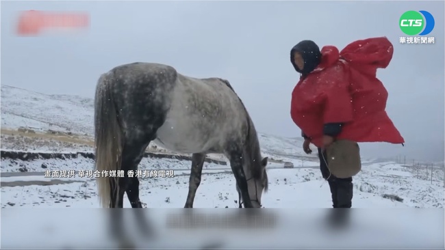 強! 男騎馬半年4千里 從新疆回重慶過年 | 華視新聞