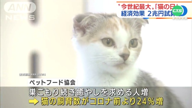 02/22日本"貓之日" 經濟效益逾2兆日圓 | 華視新聞
