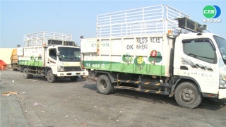 司機疑輾狗害命危 清潔隊:蓄意會懲處