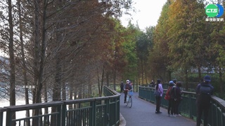 10大最美自行車道 日月潭蜂.猴擾民頻傳