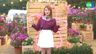 週末賞花去! 新北萬金杜鵑花聚落盛大開展