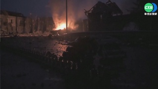 鱷魚驚現埔里筍田 專家夜巡一晚未尋獲