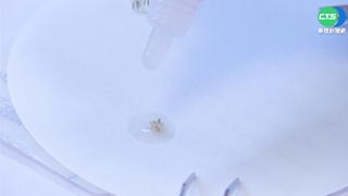 警破汽車旅館命案 全靠"一滴汗"揪凶