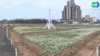 桃綠色生活悠遊節 打造花海.環保市集