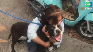 看新聞找回愛犬"恰恰" 飼主喜極而泣