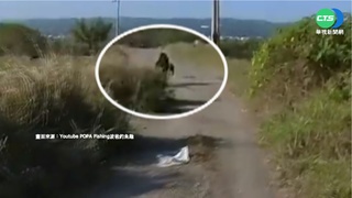 疑誤闖私人地 釣客遭獒犬猛追400米