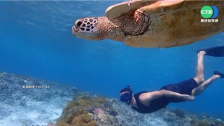 下半年有望開放國門 國人最想去沖繩!