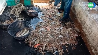 澎漁民非法電魚賺暴利 起獲460公尺電纜