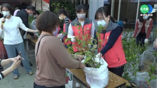 【台語新聞】緩解全球暖化! 林務局培育原生種樹苗