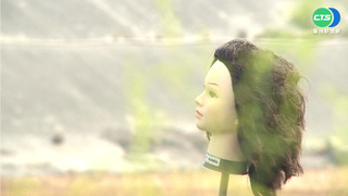 嚇壞! 竹塘木棉花美景旁 架20顆假人頭