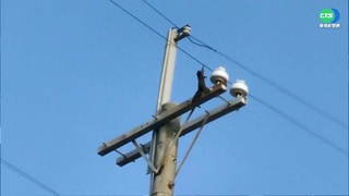 停電怪動物入侵? 專家:優化電力設備才治本