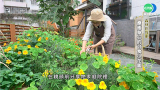 森林在我家! 歡迎光臨"植"人綠生活