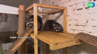 俄轟炸哈爾科夫 "浣熊咖啡廳"變避難所