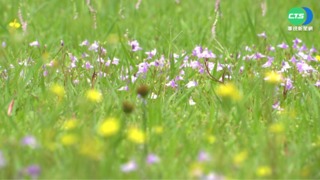 把握好天氣! 明午後鋒面到 中部以北轉濕冷