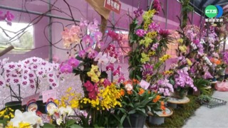 綠博開幕! 賞花.表演.遊戲設施一次體驗