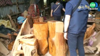 8路同步抓北台灣山老鼠集團 逮到9人