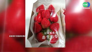 9批日本草莓農藥超標 食藥署:限期未改善就禁