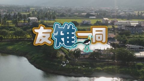 珍禽守護者系列｜友雉一同 珍禽守護者｜華視新聞雜誌