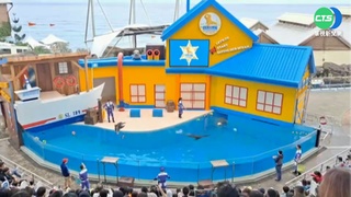 清明連假第一天 花蓮景點.名店爆人潮